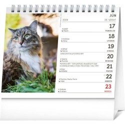 Stolový kalendár s menami mačiek 2024